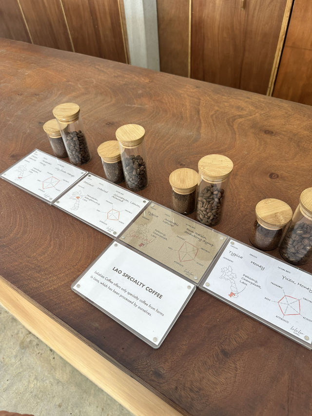 Lulalao Coffee: คาเฟ่คอกาแฟตัวจริงในหลวงพระบาง