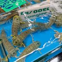 地元感満載！バーンセーンの魚市場で新鮮シーフードをゲット🦐 #タイグルメ #バーンセーン市場」