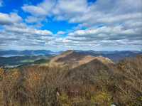 Forest Trails & Sea Breeze Feels on Geoje