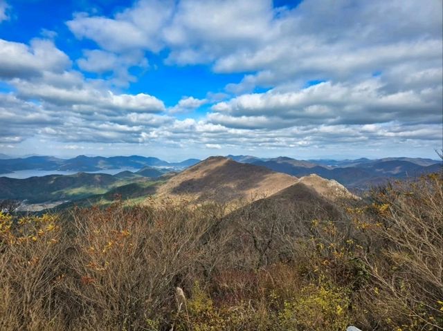 Forest Trails & Sea Breeze Feels on Geoje