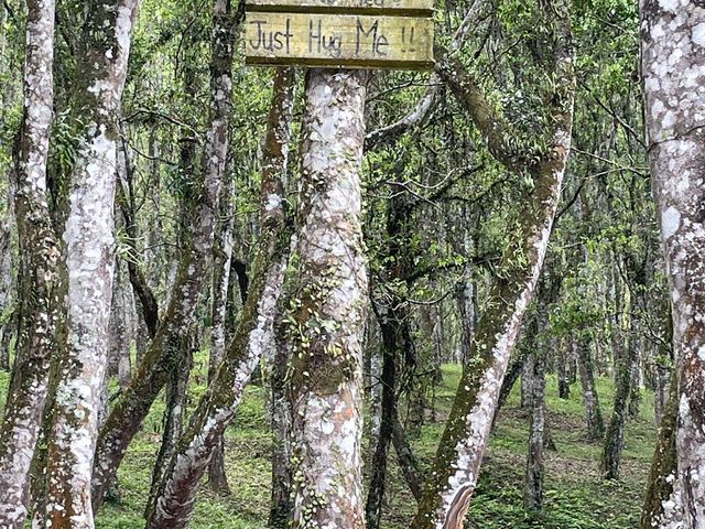 Good food n contact with nature