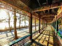 Jiangnan gardens