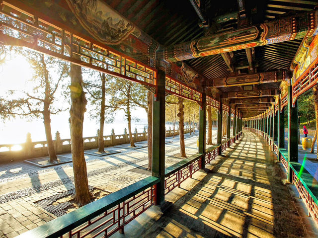 Jiangnan gardens