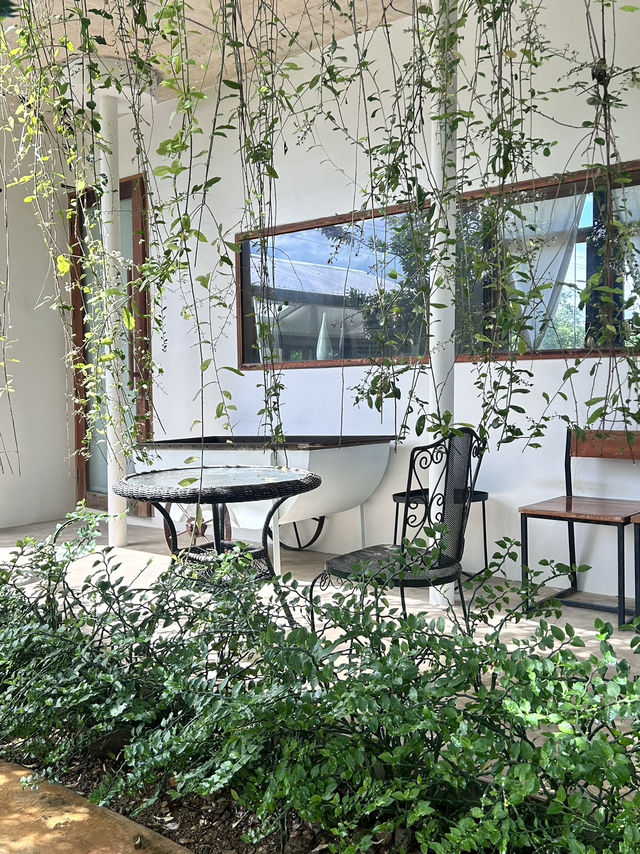 คาเฟ่ Hygge Backyard มวกเหล็ก สระบุรี 🌿📸