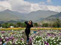 🌼 Huayu Ranch (花语牧场), Dali – A Flower Wonderland 