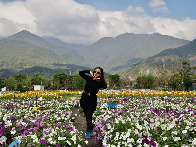 🌼 Huayu Ranch (花语牧场), Dali – A Flower Wonderland 