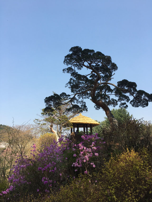 봄의 수목원
