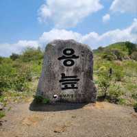 Korea's First Ramsar Wetland