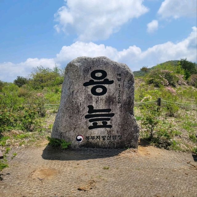 Korea's First Ramsar Wetland