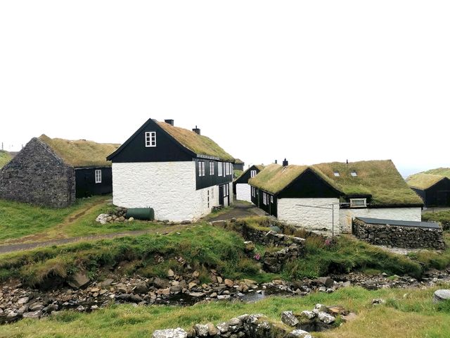 Puffins, Cliffs, and Mykines Island