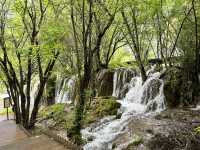  🌈 Jiuzhaigou Must-Visit Tips – Nature, Waterfalls & What to Skip