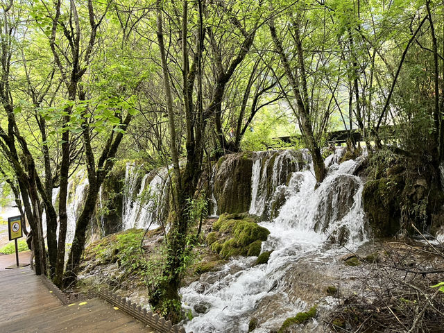  🌈 Jiuzhaigou Must-Visit Tips – Nature, Waterfalls & What to Skip