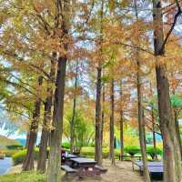 🌸 부산 화명동 힐링 산책여행코스 추천! 🌿