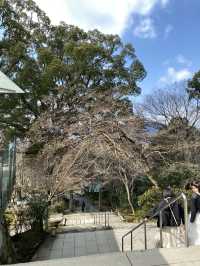Kamado Shrine ศาลเจ้าความรักกลางภูเขาในฟุกุโอกะ