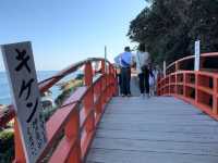 🌊 Udo Jingu – A Serene Cliffside Shrine by the Sea