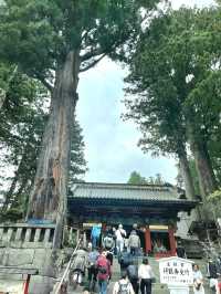A Grand welcome to Toshogu Shrine, the Omotemon and the Gojunoto Five Story Pagoda