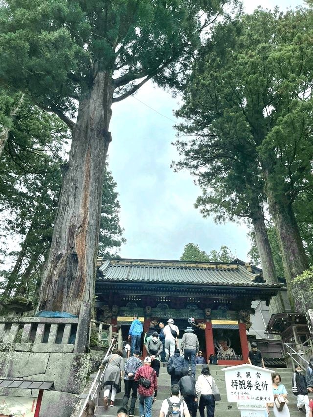 A Grand welcome to Toshogu Shrine, the Omotemon and the Gojunoto Five Story Pagoda