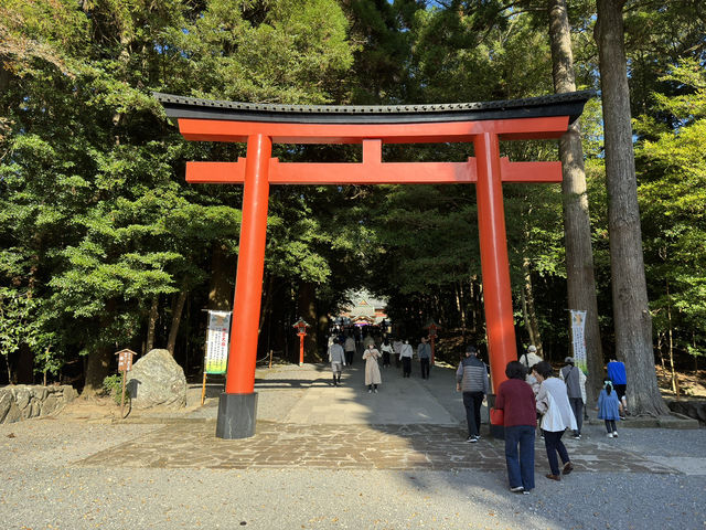 Spiritual Majesty at Kirishima Jingu 🌿
