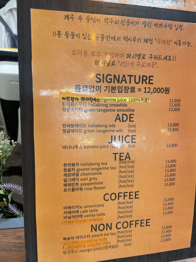 Kids friendly cafe and activity in Jeju