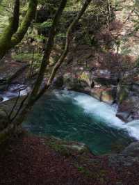 🌊滝と森に癒される絶景トレッキング！西沢渓谷で自然と一体になる旅🍃