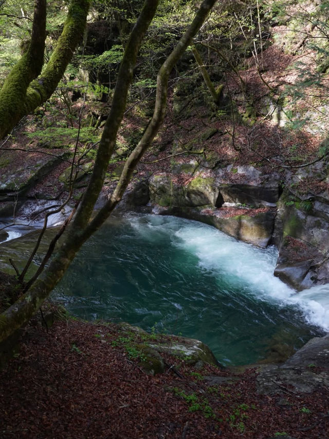 🌊滝と森に癒される絶景トレッキング！西沢渓谷で自然と一体になる旅🍃