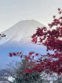 【富士五湖で絶景と癒しの湖旅】富士山を望む五つの宝石🌄💎