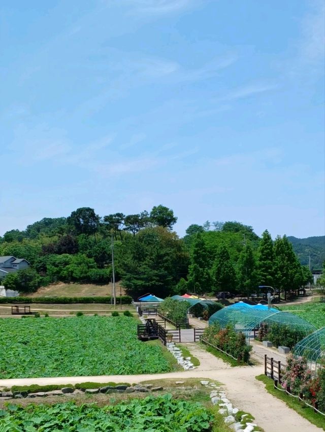 계절을 기다리는 시작점, 삶의 리듬을 채우는 공간