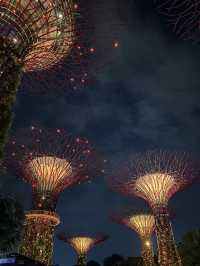 Supertree Grove at Night: Where Singapore Glows Like a Sci-Fi Movie