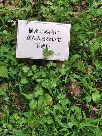 โอซาก้า🇯🇵