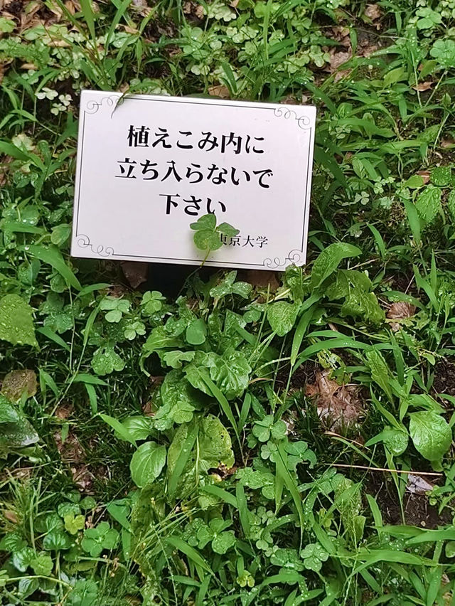 โอซาก้า🇯🇵