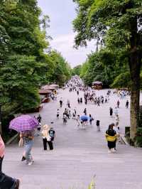 🌊 Dujiangyan Summer Survival Guide