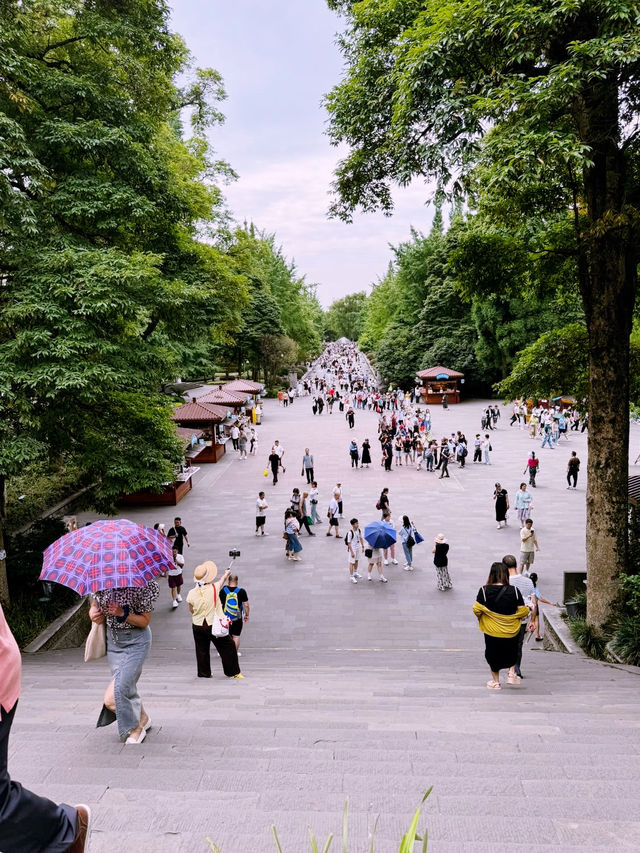 🌊 Dujiangyan Summer Survival Guide