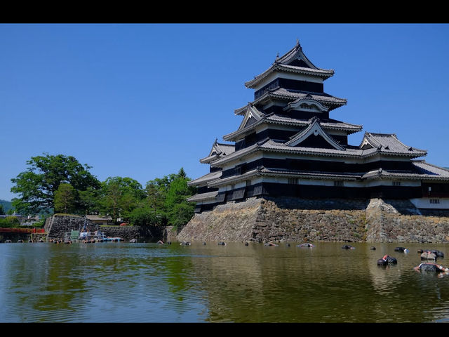 🏯長野・松本城｜国宝の黒壁が映える美しき城郭