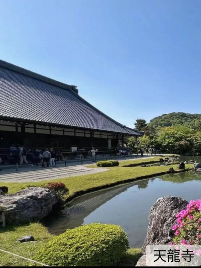 [京都]嵐山おすすめ7選✨コスパタイパ最強