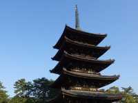 🛕 Peace and Presence at Kōfuku-ji, Nara