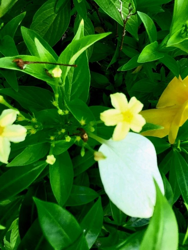 An idyllic weekend at The Garden of Abundance