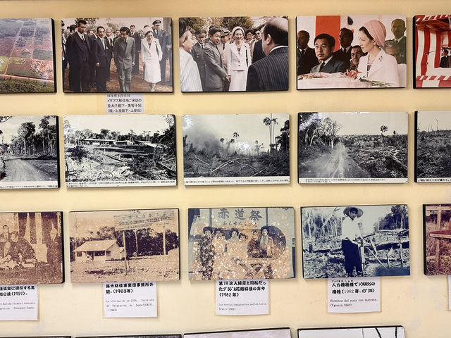 【Museo del Inmigrante｜コロニアイグアスで出会う日本移民の歴史】