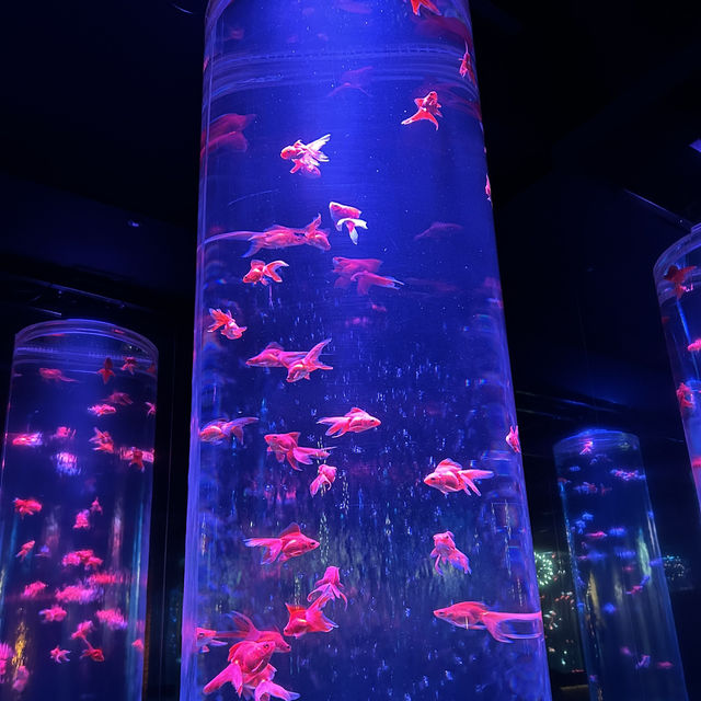 【銀座】 アートアクアリウム銀座美術館 GINZA