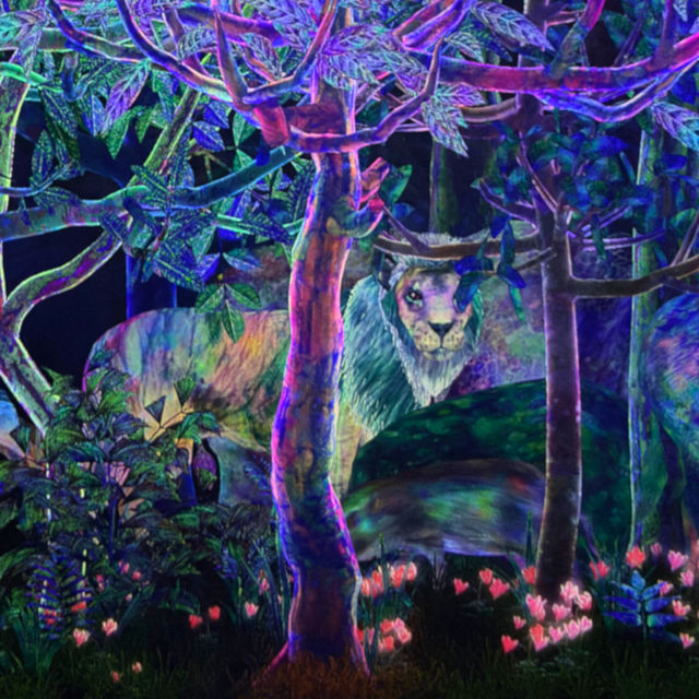 【夏のおでかけ】梅雨でも安心な室内型アートスポット💡