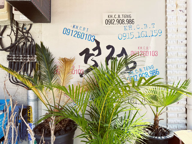 🍜 부드러운 면으로 만든 베트남식 쌀국수