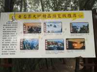 🌍帶著攻略走進阿凡達的世界！張家界黃石寨，讓你感受什麼叫「自然面前，煩惱都變小了」🪨🌿