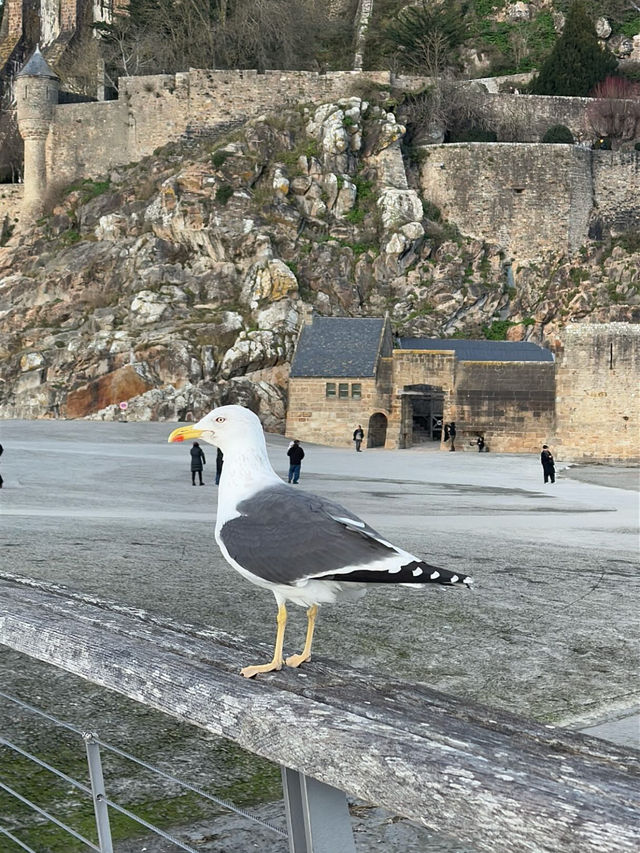 🌊潮の満ち引きが生む奇跡！モン・サン・ミシェルで幻想の世界へ