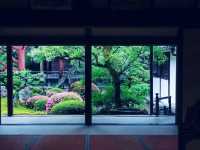 京都🇯🇵青蓮院
