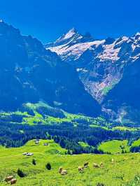 สวิตเซอร์แลนด์🇨🇭