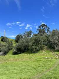 Cornwall Park｜城市裡的綠野仙蹤 