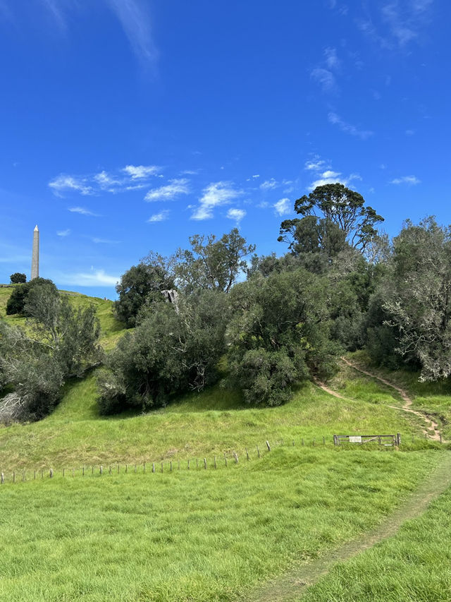 Cornwall Park｜城市裡的綠野仙蹤 