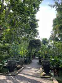 Fort Canning Park สิงคโปร์ 🌿 เดินเล่นชิลๆ ถ่ายรูป