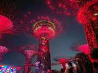 Garden by the Bay Lightshow 