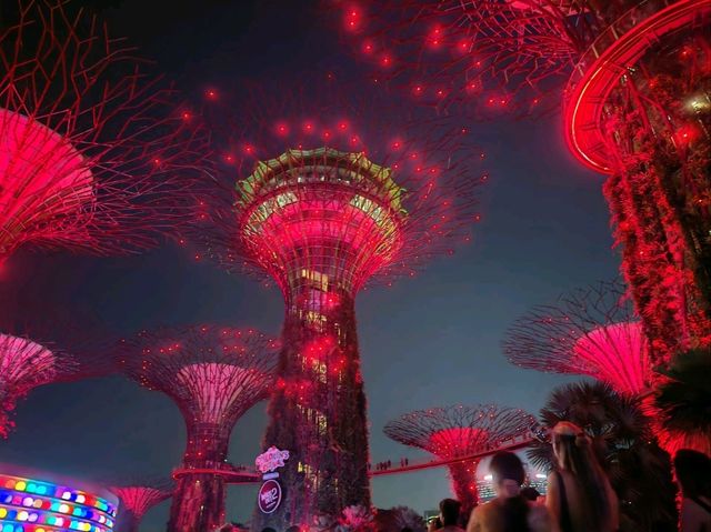 Garden by the Bay Lightshow 