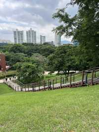 공원의 이모저모